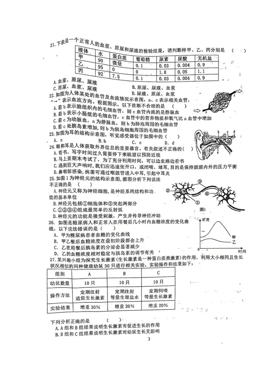 湖南省娄底市双峰县2022-2023学年七年级下学期7月期末生物试题（图片版含答案）