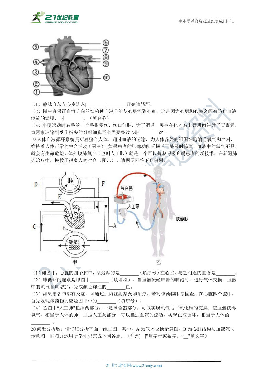 北京版2021初中生物七年级下册期中模拟测试（含解析）