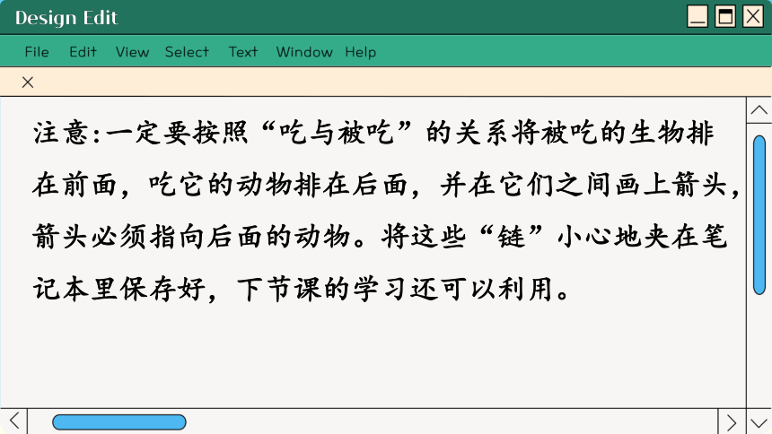 3.6.1 食物链课件(共41张PPT)2023-2024学年初中生物苏科版七年级上册