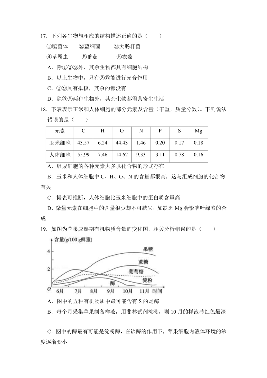 湖北省麻城市实高2021-2022学年高一上学期9月月考生物试题（Word版含答案）