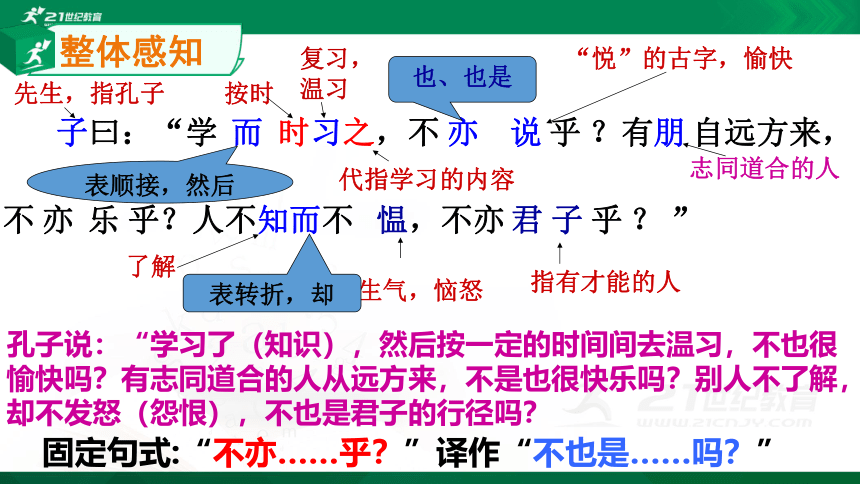 11《论语》十二章 课件(共48张PPT)