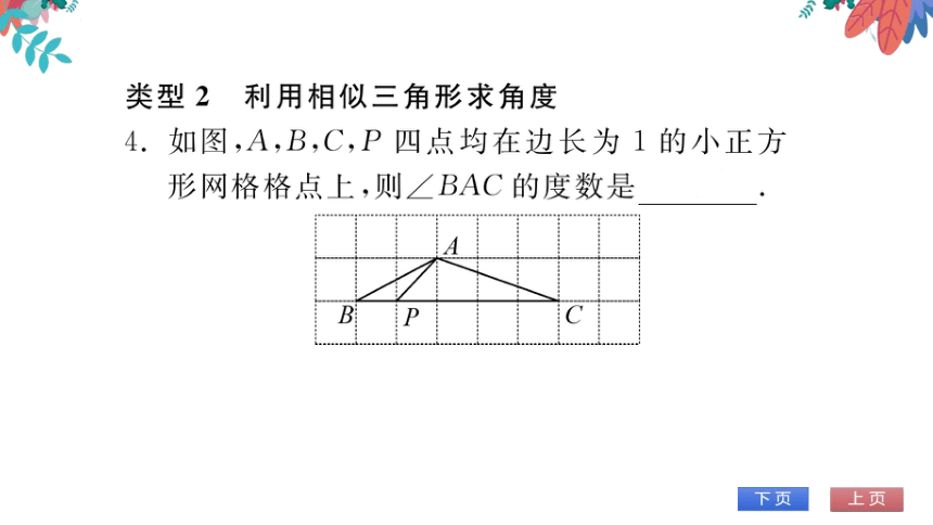 【华师大版】数学九年级上册 第23章 专题六 相似三角形的性质与判定 习题课件