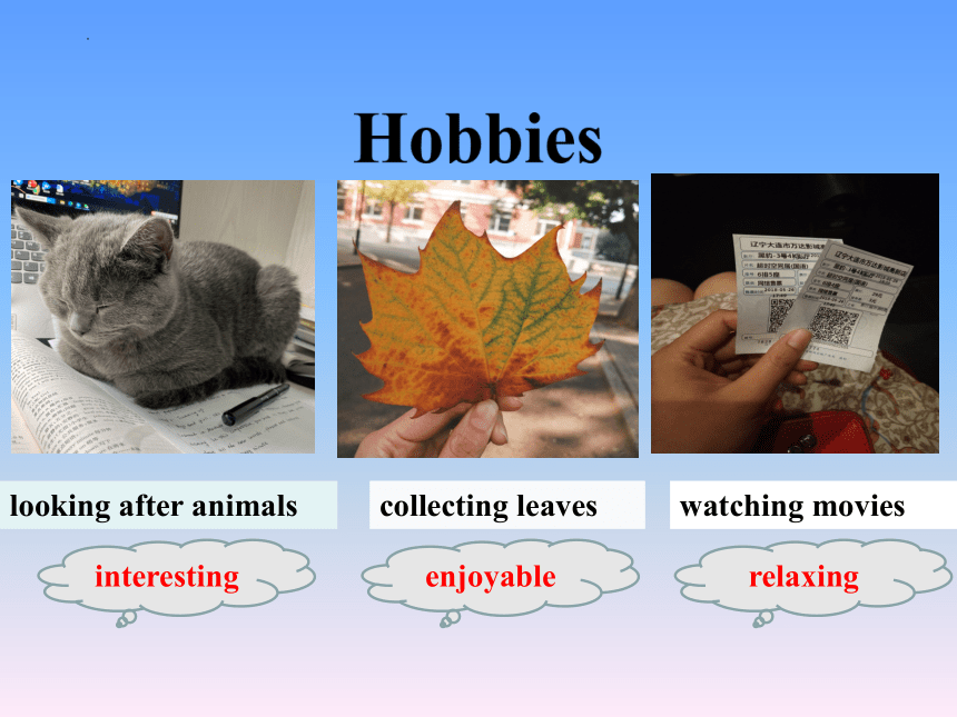 Module 6 Hobbies Unit 2课件  +嵌入音频(共43张PPT)
