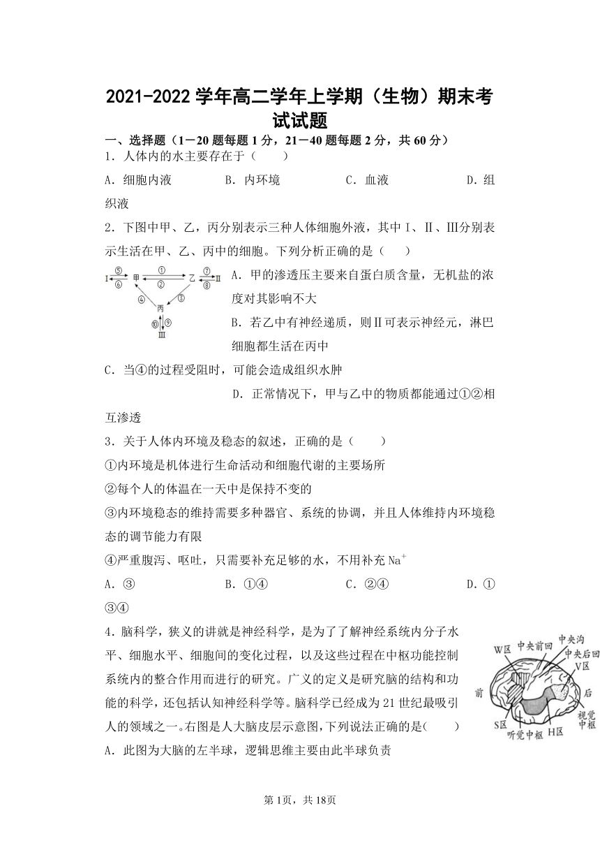 黑龙江省鹤岗市工农区第一中学2021-2022学年高二上学期期末考试生物试题（Word版含答案）