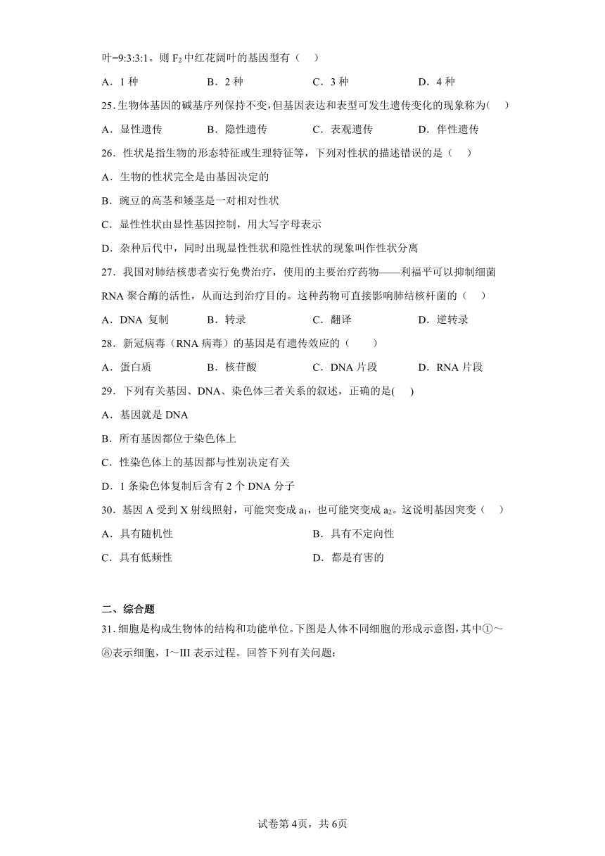 2023年湖南省宁乡市高一下学期5月学业水平模拟考试生物试题（含解析）