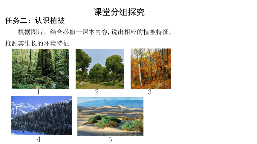 高中地理湘教版必修一：第一节 主要植被与自然环境-教学课件 (共37张PPT)