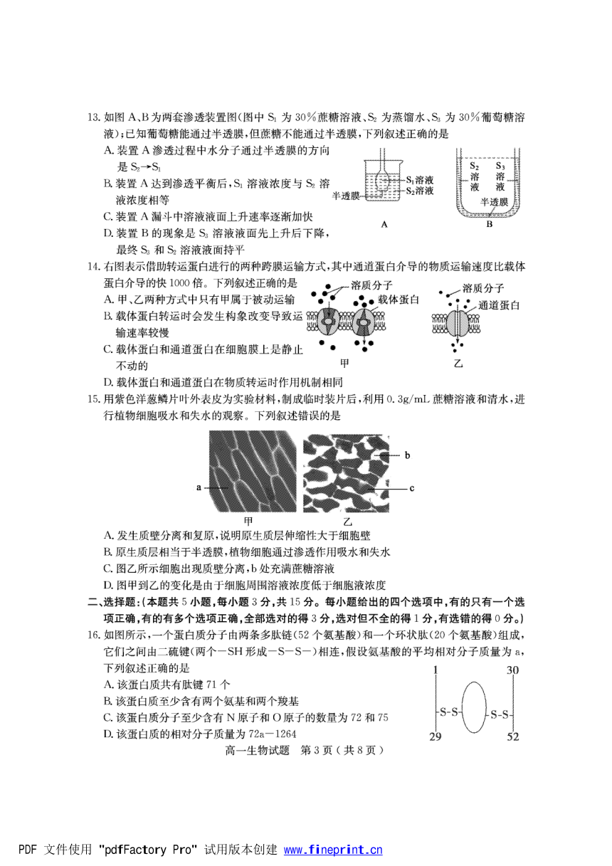 山东省临沂市兰陵县2021-2022学年高一上学期期中考试生物试题（PDF版含答案）