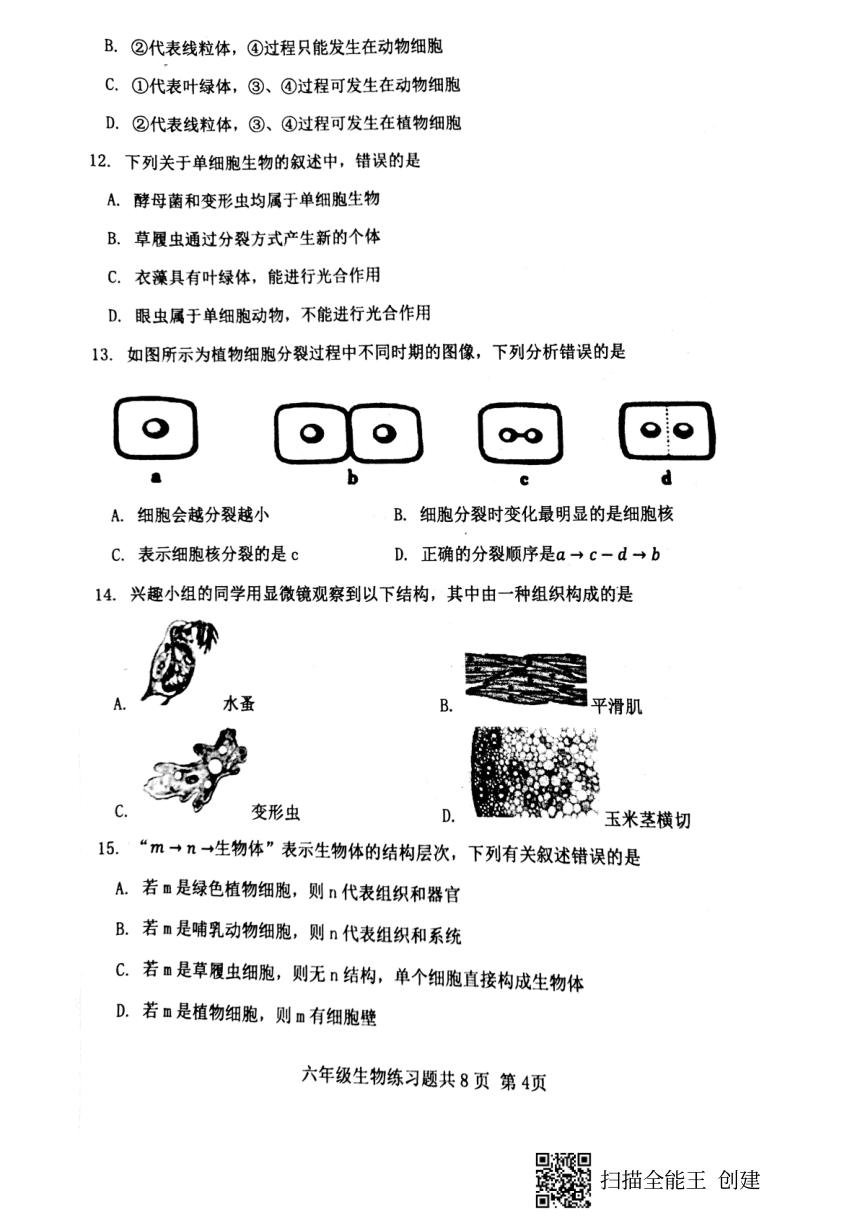 山东省泰安市岱岳区2021-2022学年六年级上学期期末考试生物试题（PDF版含答案）