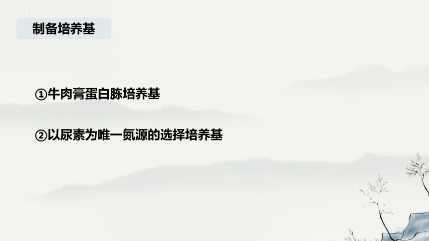 1.2.2土壤中分解尿素的细菌的分离与计数课件(共27张PPT)-人教版选择性必修3