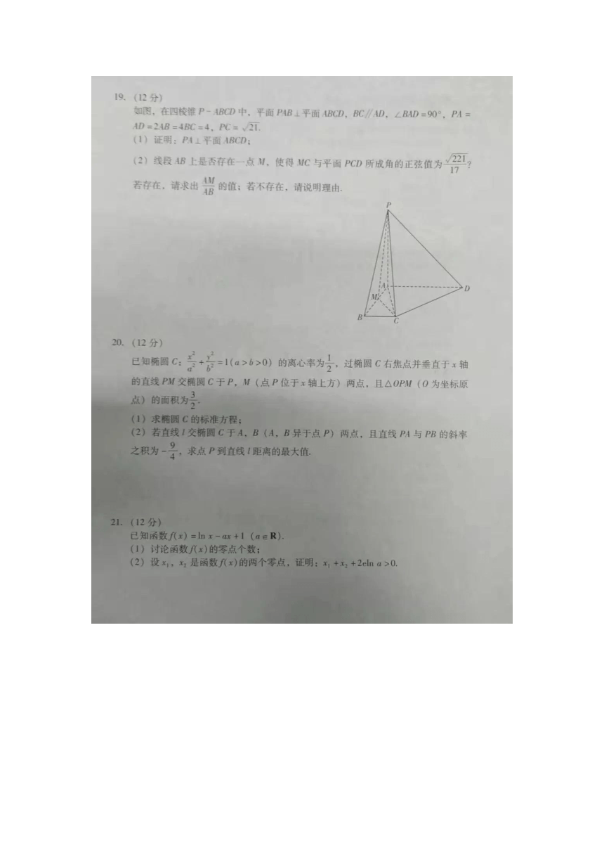 2021届新高考广东一模数学试题 图片版含答案