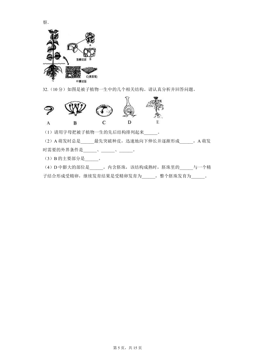 2.2.3 植物体的结构层次 同步精品练习 （含解析）人教版生物七年级上册