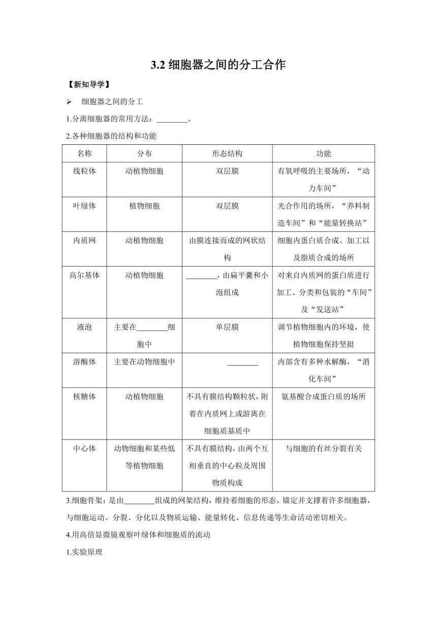 3.2细胞器之间的分工合作  导学案——2022-2023学年高一生物人教版（2019）必修一