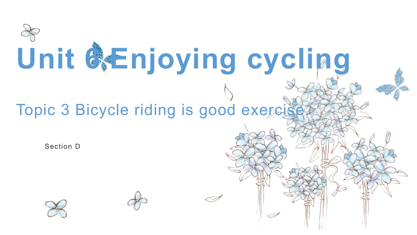 Unit 6 Topic 3 Bicycle riding is good exercise. Section D 课件(共20张PPT)