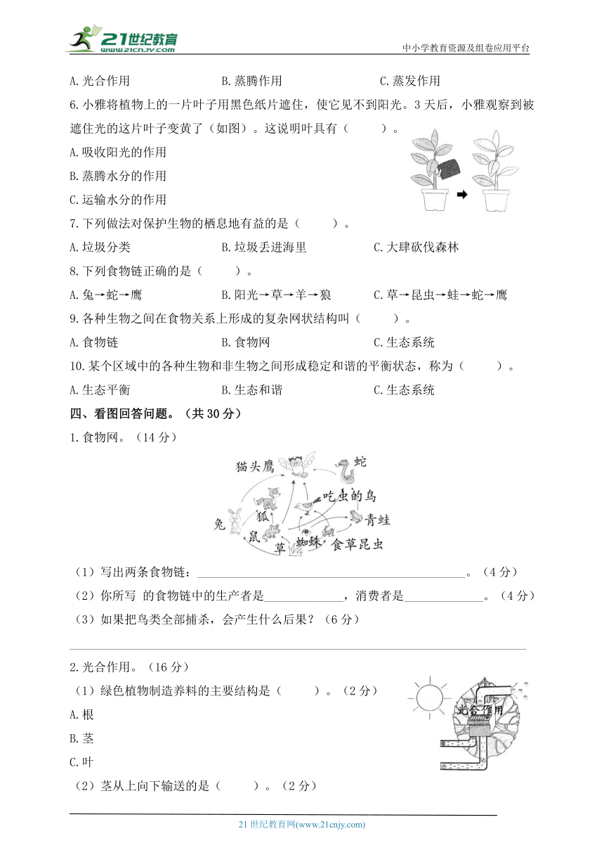 小学科学青岛版(六三制2017秋)五年级下册第五单元综合素养评价卷（含答案）