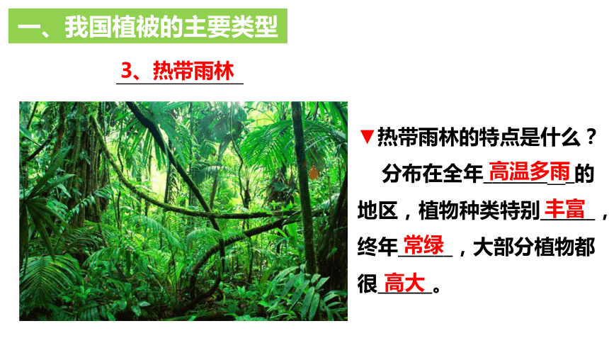 3.6 爱护植被，绿化祖国课件(共21张PPT)2022-2023学年人教版七年级生物学上册