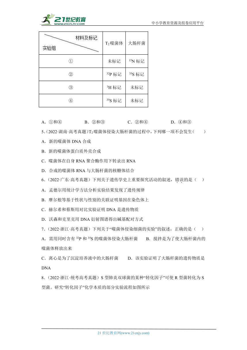 五年2018-2022高考生物真题按知识点分类汇编38-遗传的分子基础-人类探索遗传物质的历程（含解析）