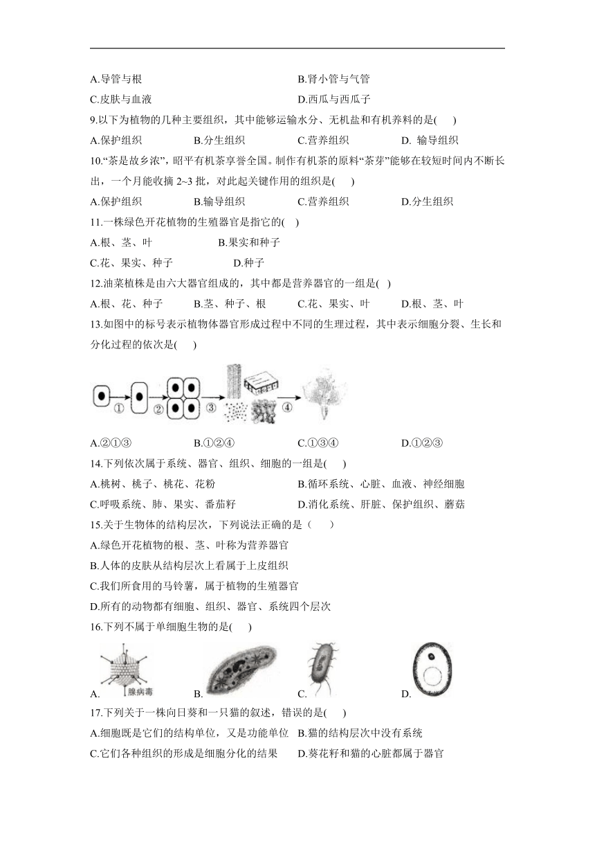 2021-2022学年人教版七年级上册生物 第2单元第2章 细胞怎样构成生物体章检测题 基础达标 （Word版 含解析）