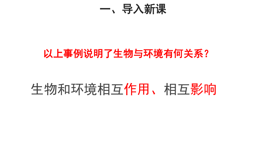 苏科版七年级上册 2.2.3生物对环境的影响 课件(共18张PPT)