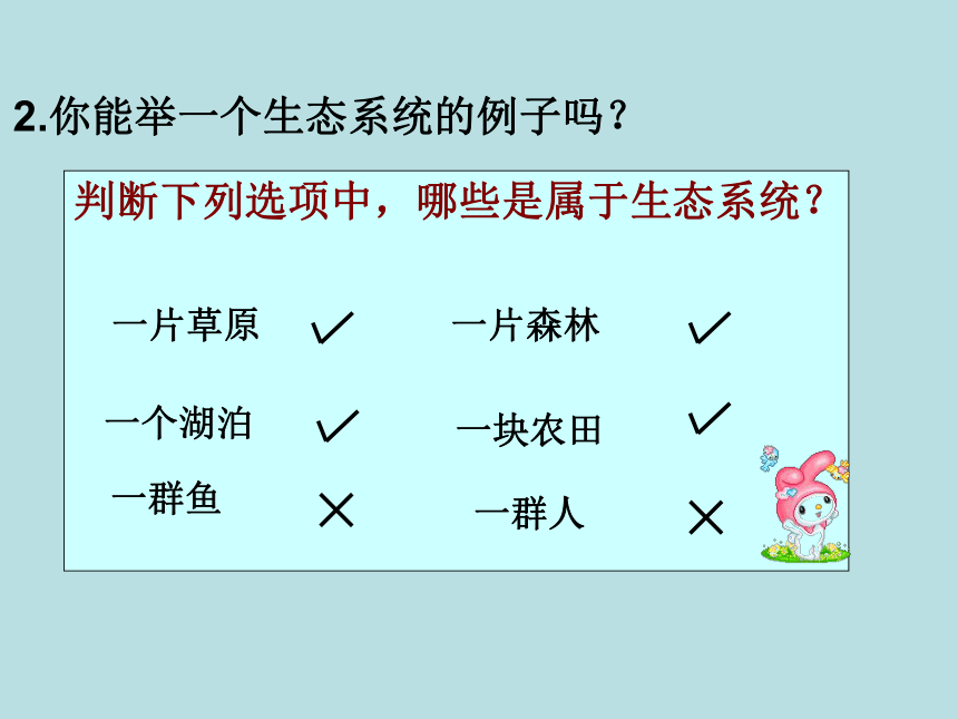 七年级生物上册 1.2.2 生物与环境组成生态系统课件(共38张PPT)