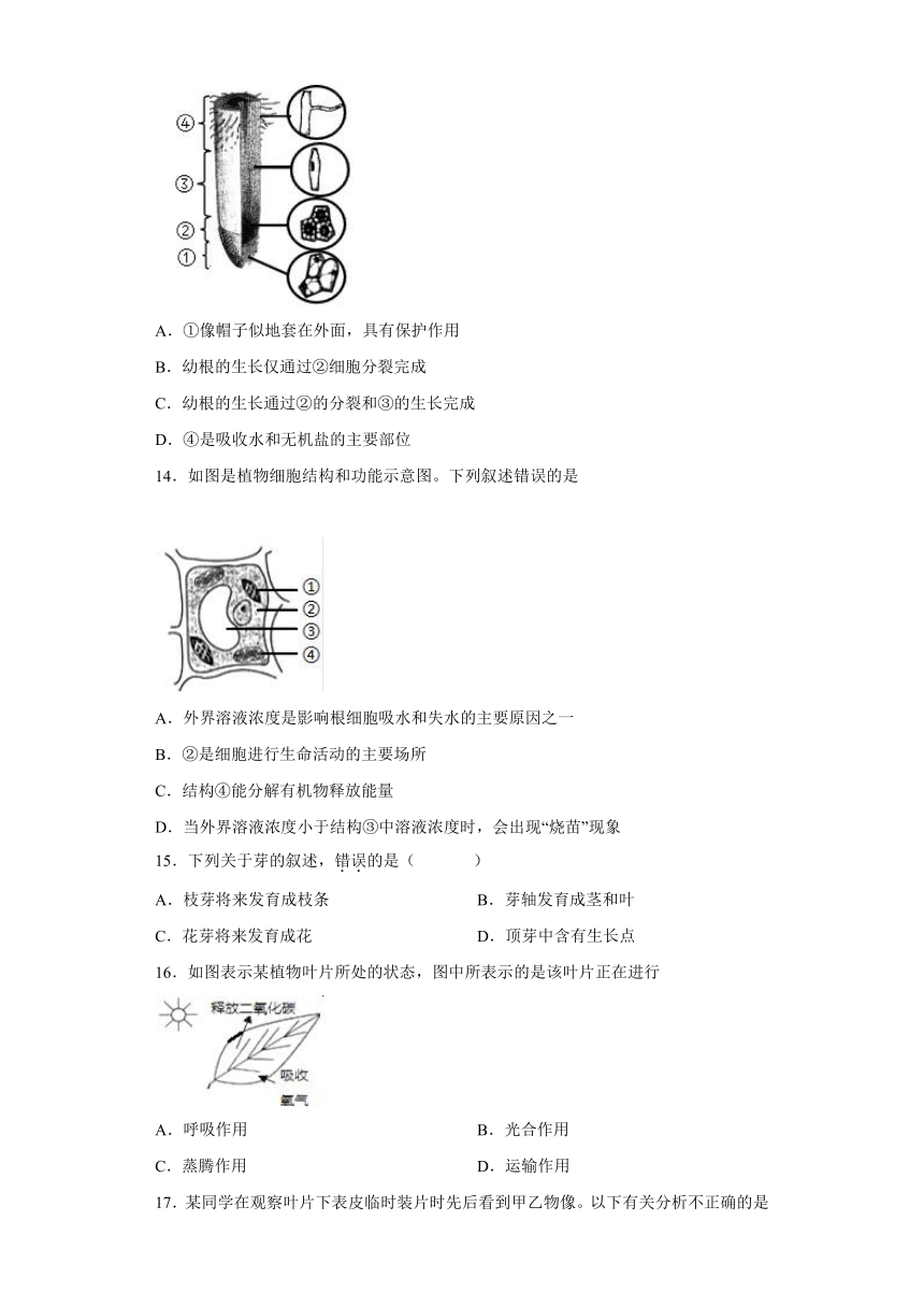 安徽省滁州市定远县朱湾中学2021-2022学年下学期开学考试七年级生物试题（word版含答案）