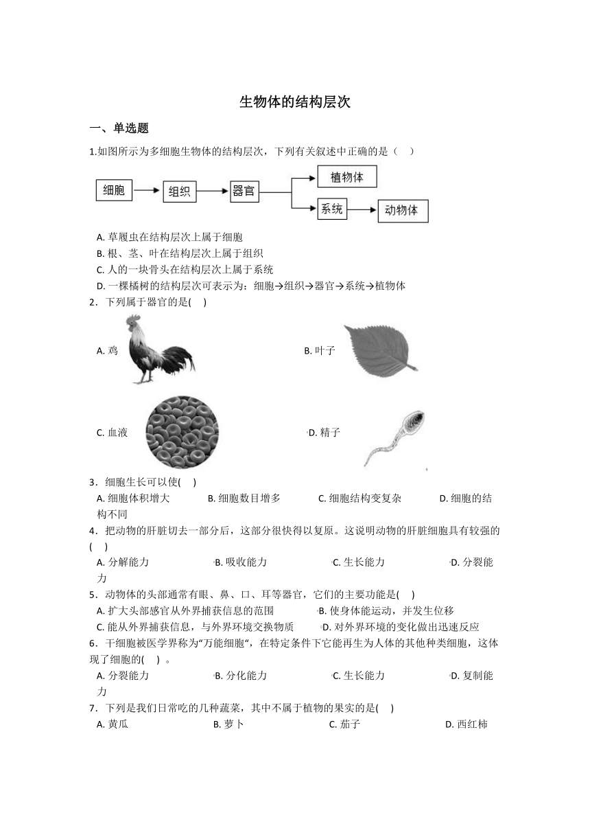 2.3生物体的结构层次 同步练习（含解析）