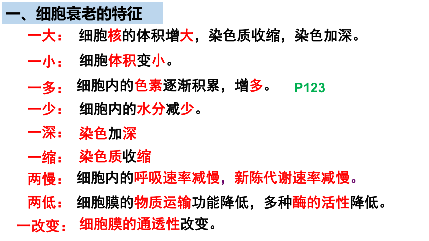 生物人教版（2019）必修1 6.3细胞的衰老和死亡  课件 （共41张ppt）