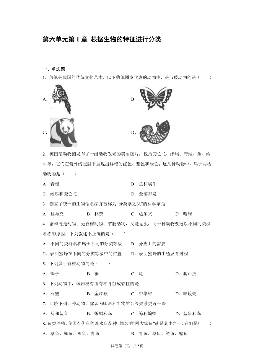 第六单元第一章根据生物的特征进行分类同步训练(word版含答案）2021--2022学年人教版八年级上册生物