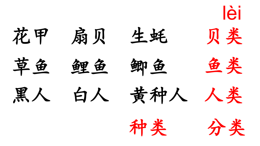 识字 3“贝”的故事     课件(共20张PPT)