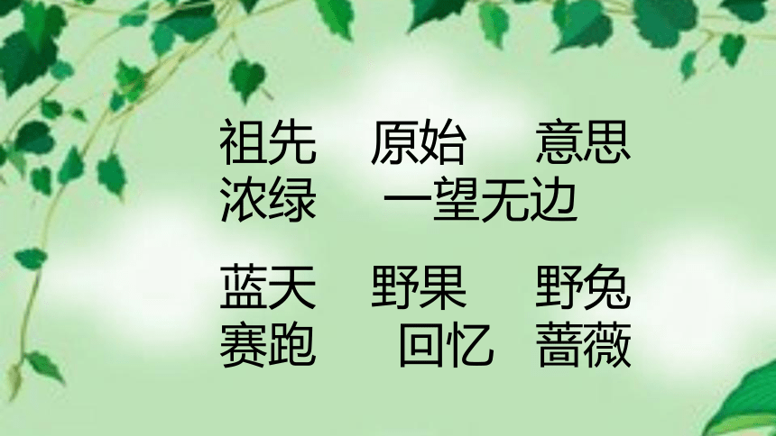 23 祖先的摇篮（课件）(共29张PPT)