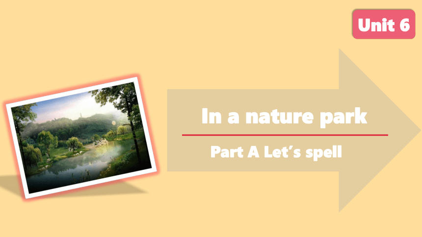 Unit 6 In a nature park A Let’s spell课件(共27张PPT)