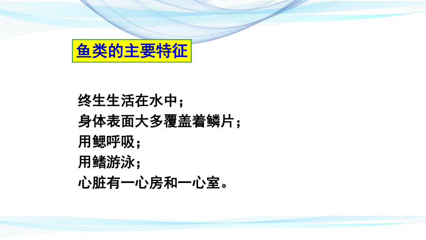 10.2 水中的藻类植物课件（共44张PPT）七年级生物下册（苏科版）