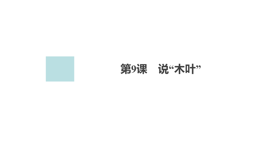 高中语文统编版必修下册--第9课 说“木叶”（课件）(共85张PPT)