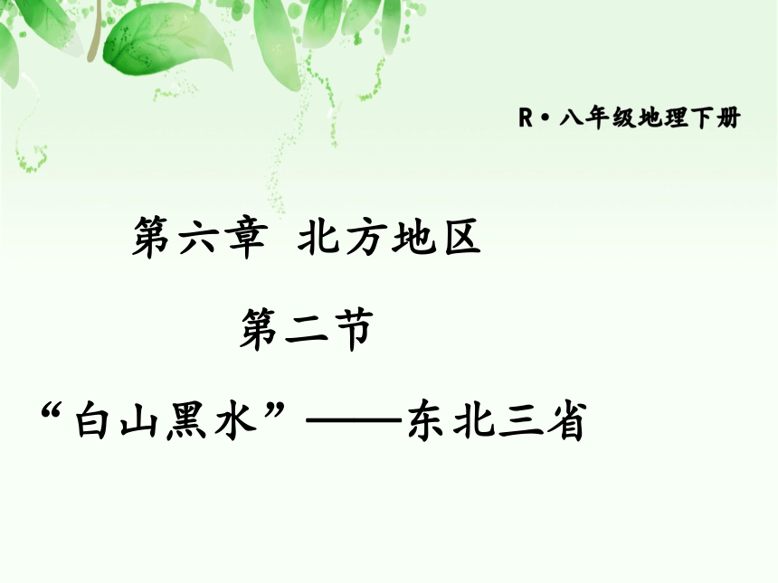 人教版（新课程标准）八年级下册第六章北方地区第二节白山黑水东北三省（共44张PPT）