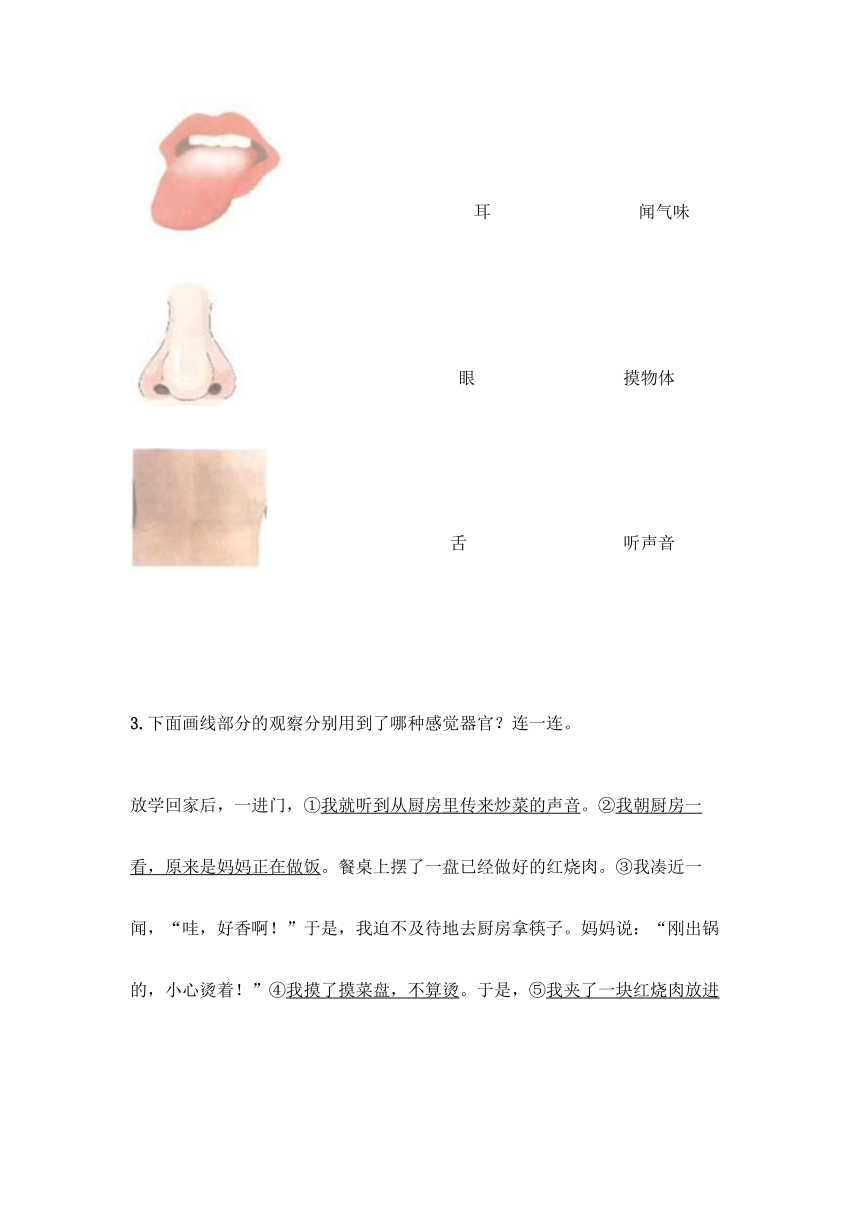 教科版（2017秋）二年级下册科学试题-第二单元 我们自己 测试题 （含答案）