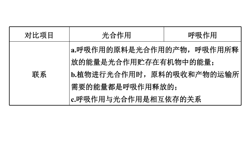 3.4  植物的光合作用、呼吸作用与植物在生物圈中的作用复习课件(共59张PPT)