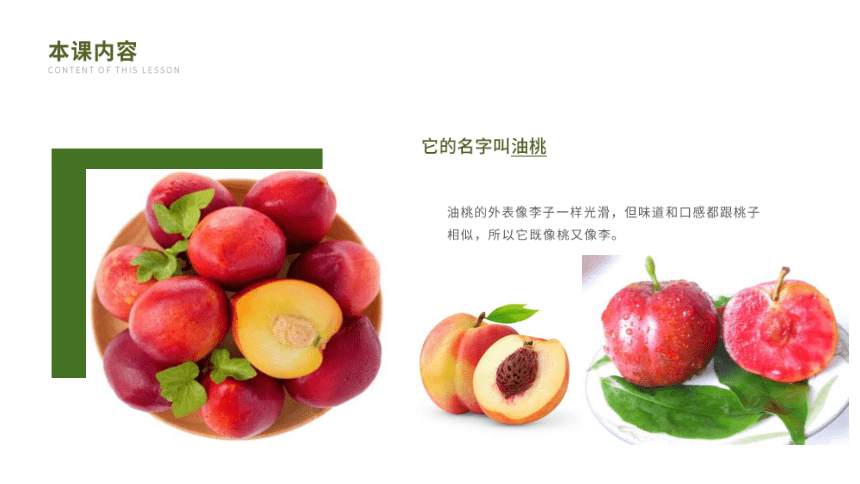 粤教粤科版（2017秋）一年级科学上册 2.6 美味的水果 课件(共13张PPT)