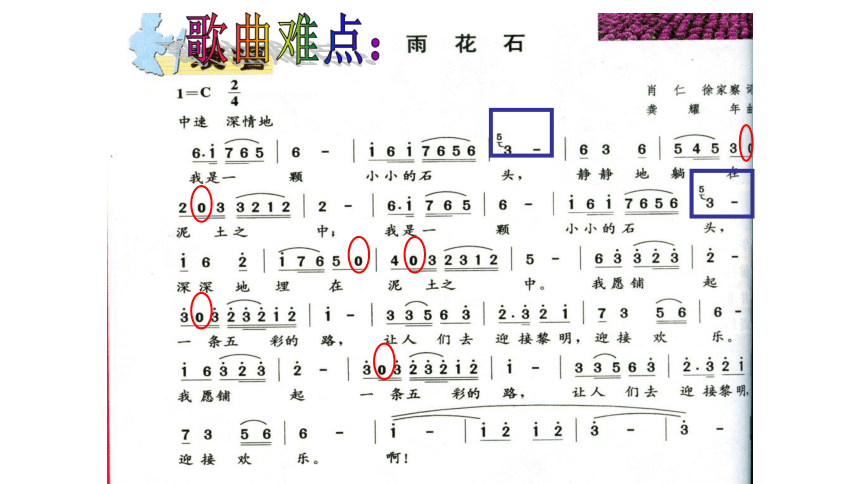 沪教版五年级下册课件 雨花石 (共17张PPT)