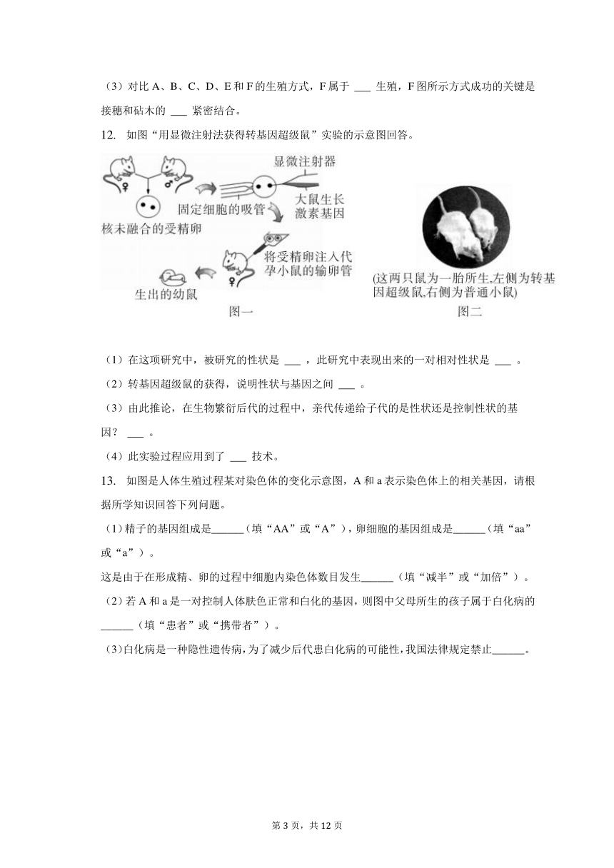 2022-2023学年安徽省亳州市利辛县阚疃金石中学八年级（下）月考生物试卷（一）（含解析）