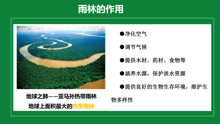 8.6 巴西 课件 -湘教版七年级地理下册同步备课系列 (共34张PPT)