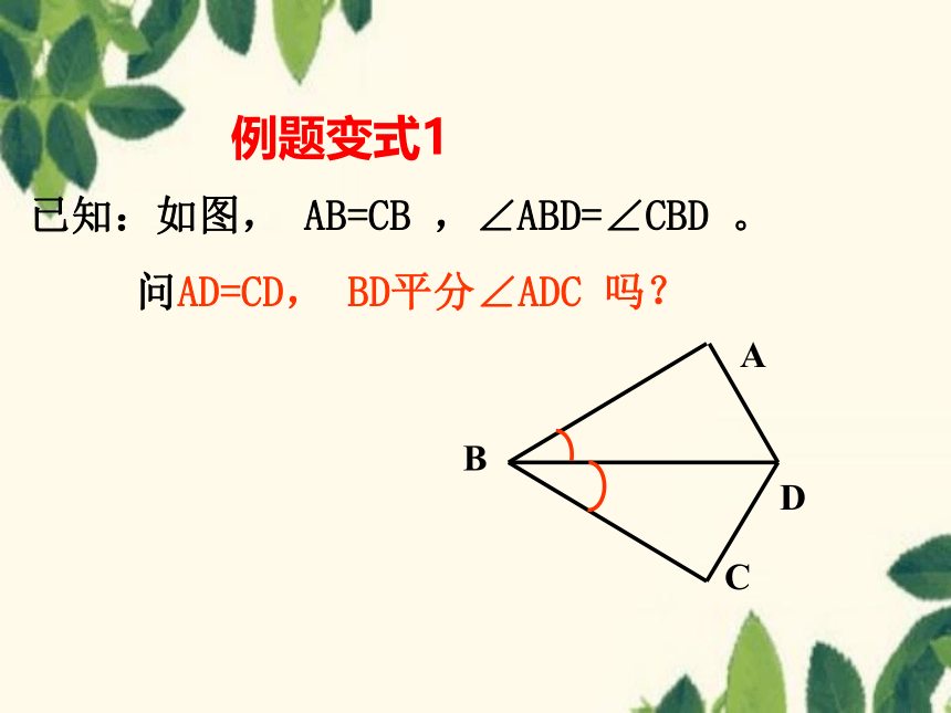 鲁教版（五四学制）七年级上册第一章 三角形1.3探索三角形全等的条件（3）课件(共20张PPT)