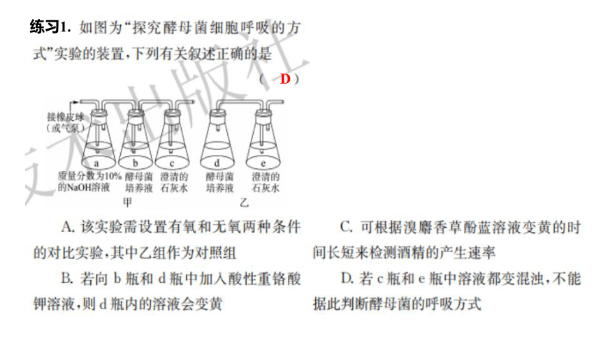 5.3.1 细胞呼吸的原理和应用课件-2022-2023学年高一上学期生物人教版（2019）必修1  课件 (共21张PPT)