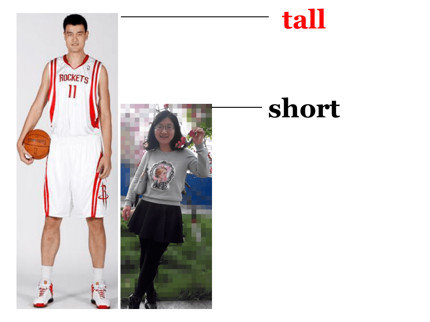 Unit3 Lesson14 Are You Short or Tall ?课件（共14张PPT）