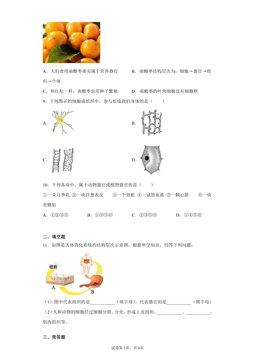 2.3生物体的结构层次 过关练习（含解析）