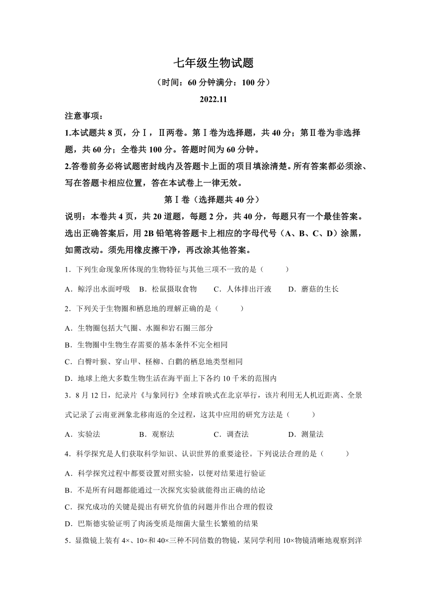 山东省潍坊市诸城市2022-2023学年七年级上学期期中生物试题（含解析）