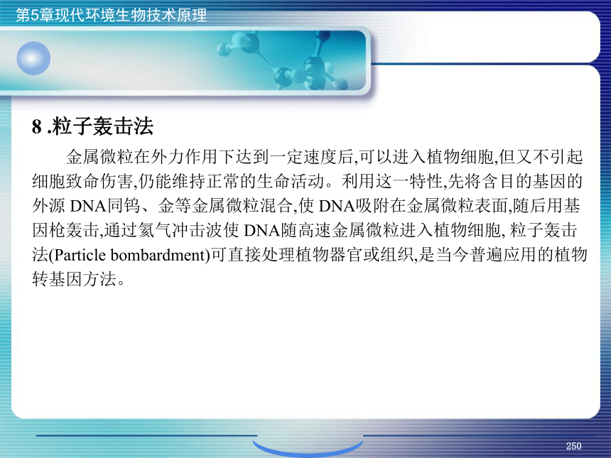 5.现代环境生物技术原理_9 课件(共27张PPT）- 《环境生物化学》同步教学（机工版·2020）