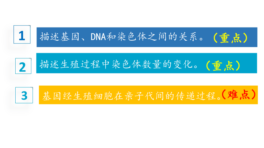 7.2.2基因在亲子代间的传递课件(共42张PPT)2021-2022学年人教版生物八年级下册