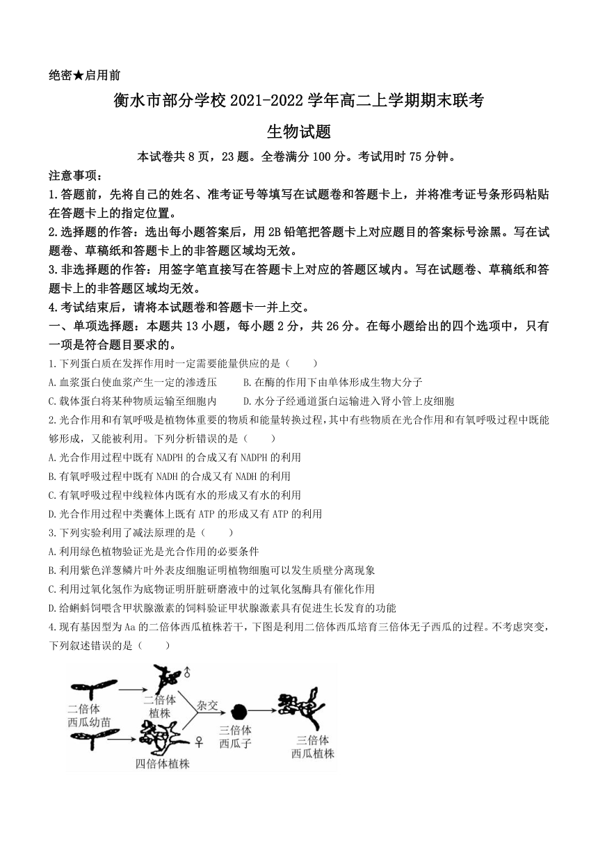 河北省衡水市部分学校2021-2022学年高二上学期期末联考生物试题（Word版含答案）