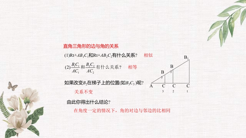 2.1 锐角三角函数 课件（共19张PPT）
