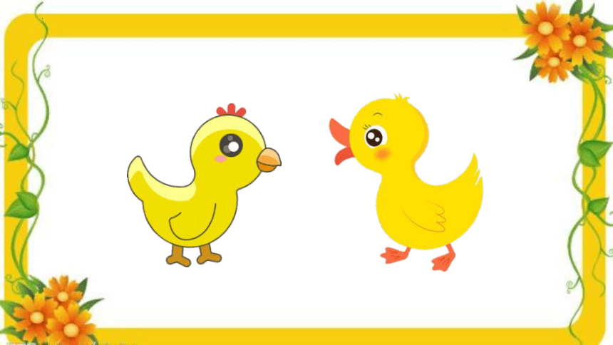 4小公鸡和小鸭子 课件(共31张PPT)