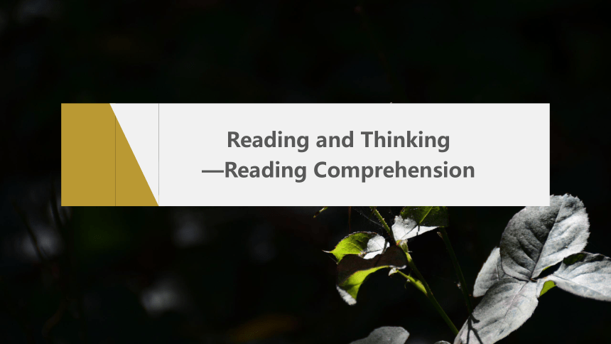 Unit 3Reading and Thinking—Reading Comprehension 课件 人教版（2019）  必修第三册